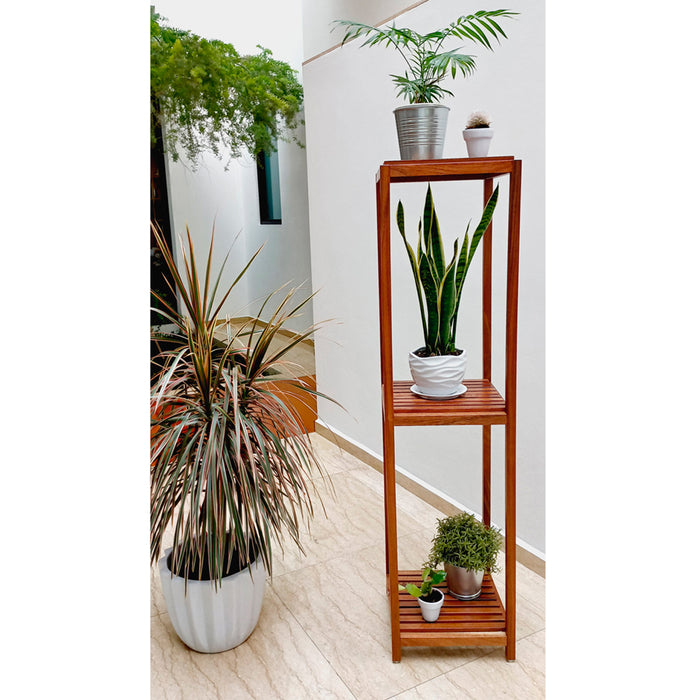 Torre Plant Lover